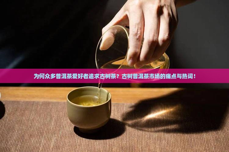 为何众多普洱茶爱好者追求古树茶？古树普洱茶市场的痛点与热词！