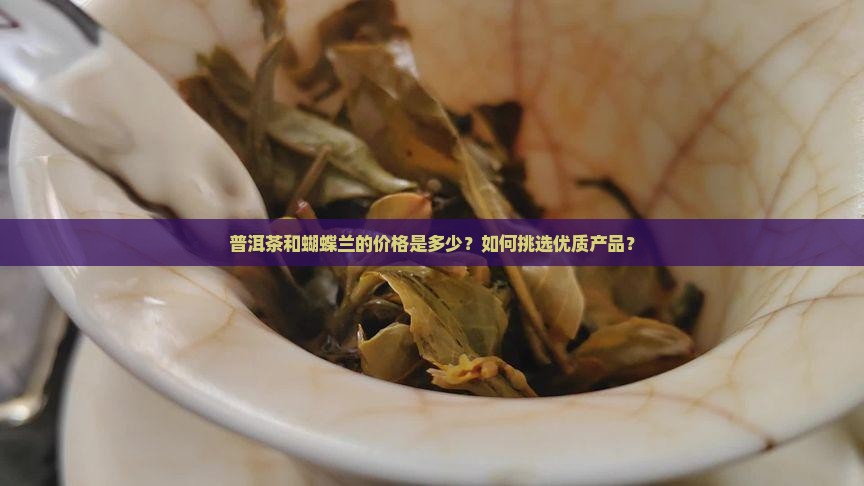 普洱茶和蝴蝶兰的价格是多少？如何挑选优质产品？