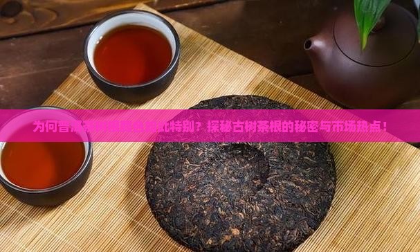 为何普洱茶树根颜色如此特别？探秘古树茶根的秘密与市场热点！