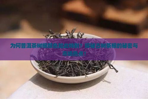 为何普洱茶树根颜色如此特别？探秘古树茶根的秘密与市场热点！
