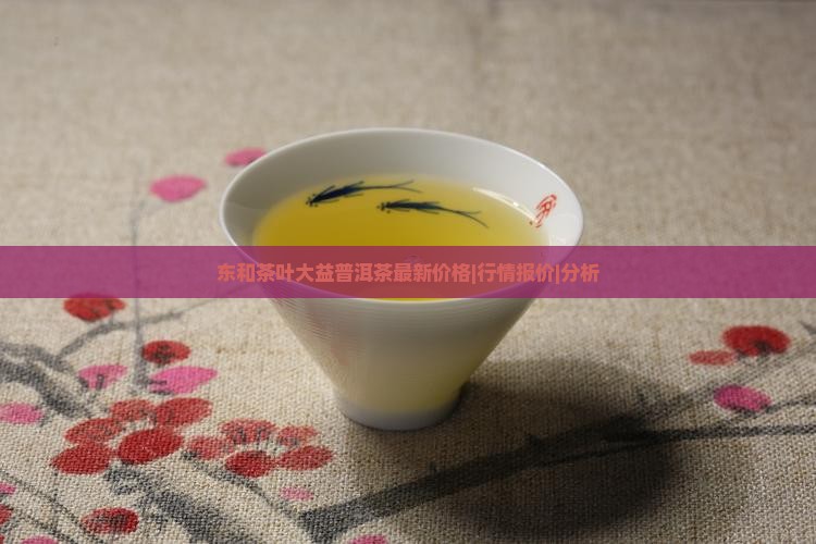 东和茶叶大益普洱茶最新价格|行情报价|分析