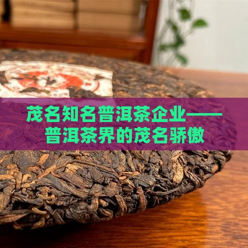 茂名知名普洱茶企业——普洱茶界的茂名骄傲