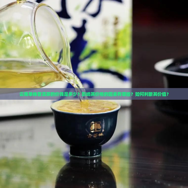 云南单株普洱茶的价钱是多少？影响其价格的因素有哪些？如何判断其价值？