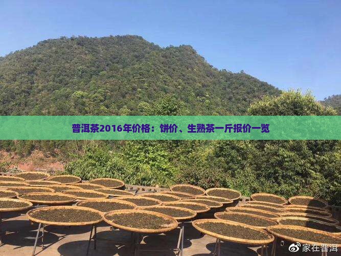普洱茶2016年价格：饼价、生熟茶一斤报价一览