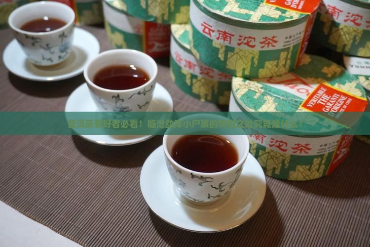 普洱茶爱好者必看！临沧勐库小户寨的特别之处究竟是什么？