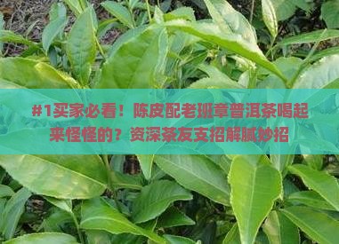 #1买家必看！陈皮配老班章普洱茶喝起来怪怪的？资深茶友支招解腻妙招
