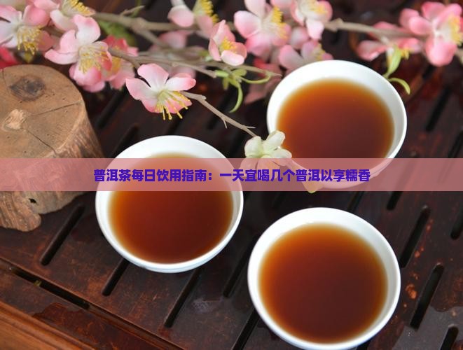 普洱茶每日饮用指南：一天宜喝几个普洱以享糯香
