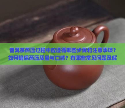 普洱茶蒸压过程中应遵循哪些步骤和注意事项？如何确保蒸压质量与口感？有哪些常见问题及解决方法？