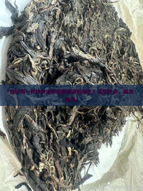 如何用一秒钟快速掌握普洱茶的秘密？紧跟热点，解决痛点！