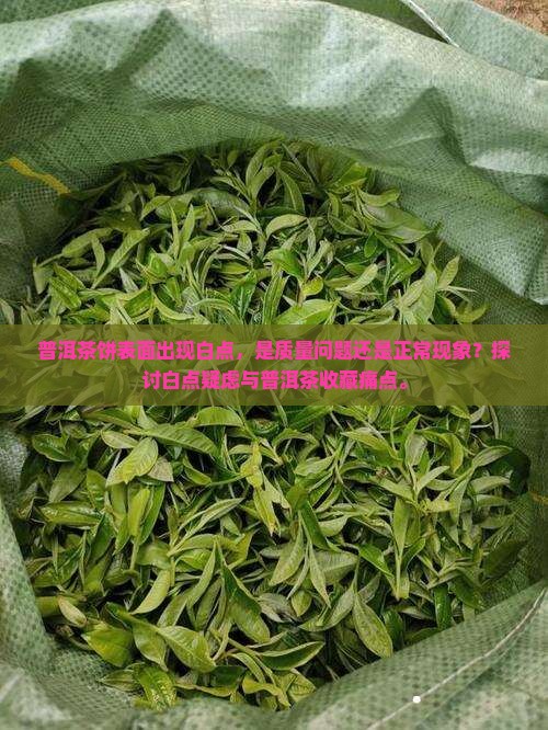 普洱茶饼表面出现白点，是质量问题还是正常现象？探讨白点疑虑与普洱茶收藏痛点。