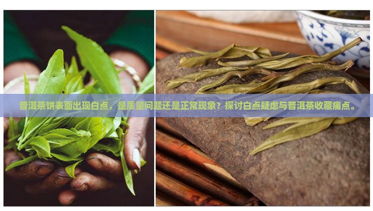 普洱茶饼表面出现白点，是质量问题还是正常现象？探讨白点疑虑与普洱茶收藏痛点。