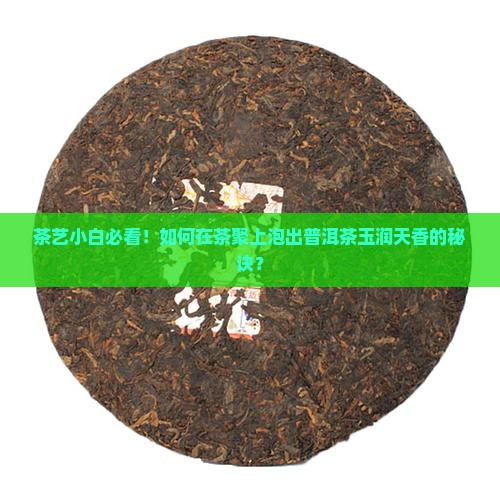 茶艺小白必看！如何在茶聚上泡出普洱茶玉润天香的秘诀？
