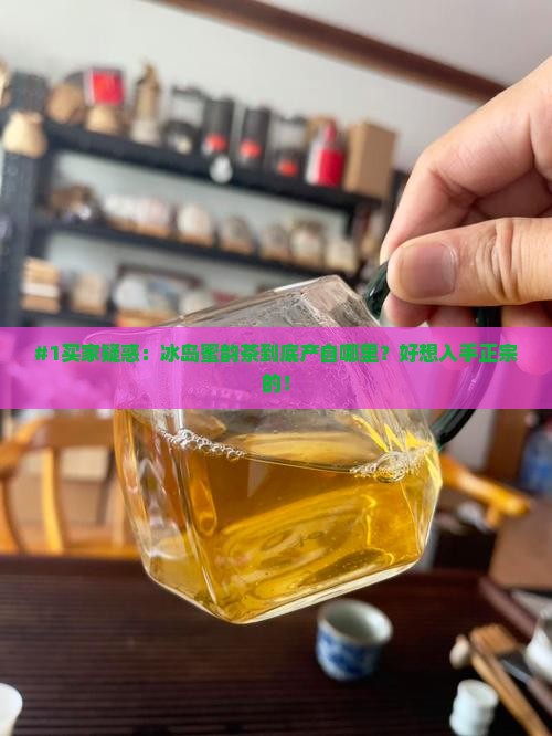 #1买家疑惑：冰岛蜜韵茶到底产自哪里？好想入手正宗的！