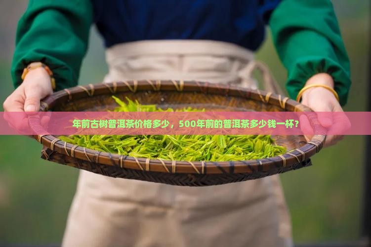 年前古树普洱茶价格多少，500年前的普洱茶多少钱一杯？
