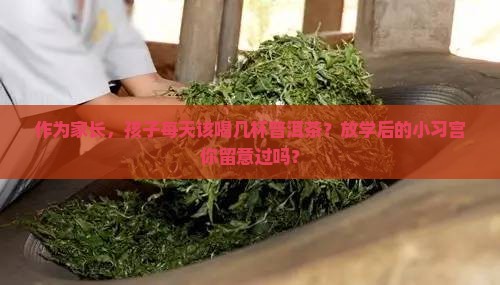 作为家长，孩子每天该喝几杯普洱茶？放学后的小习宫你留意过吗？