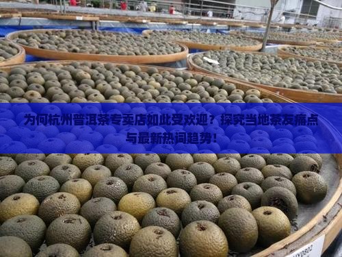 为何杭州普洱茶专卖店如此受欢迎？探究当地茶友痛点与最新热词趋势！