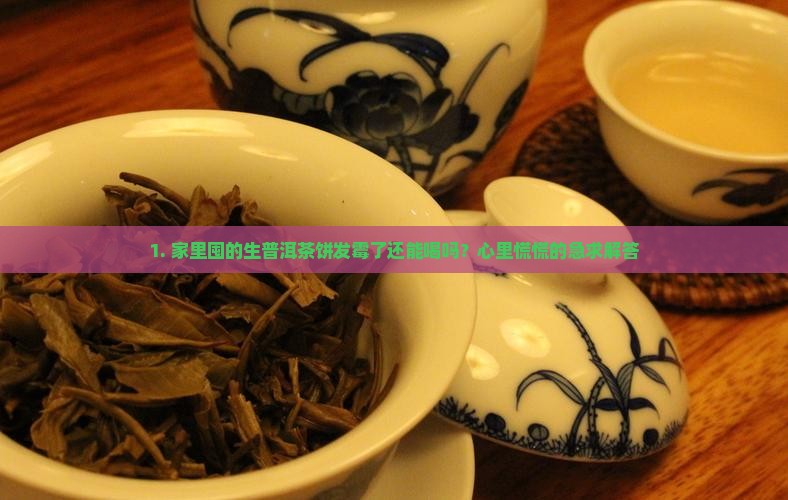 1. 家里囤的生普洱茶饼发霉了还能喝吗？心里慌慌的急求解答