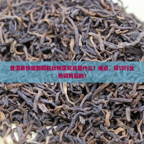 普洱茶饼底部颗粒状物质究竟是什么？痛点，探讨行业热词背后的！