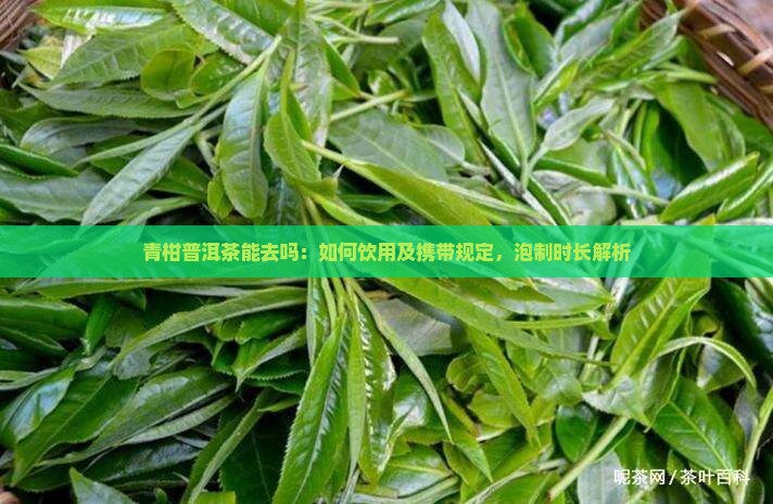青柑普洱茶能去吗：如何饮用及携带规定，泡制时长解析