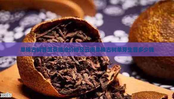 单株古树普洱茶临沧价格及云南单株古树单芽生普多少钱