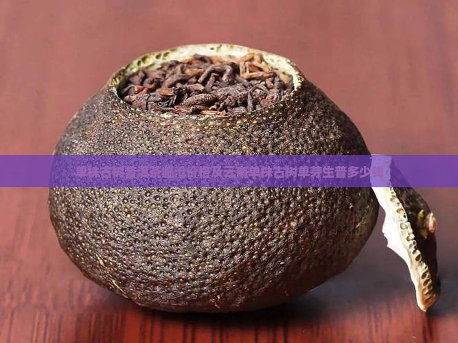 单株古树普洱茶临沧价格及云南单株古树单芽生普多少钱