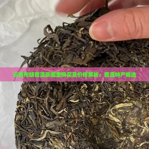 云南布朗普洱茶哪里购买及价格解析：普洱特产精选