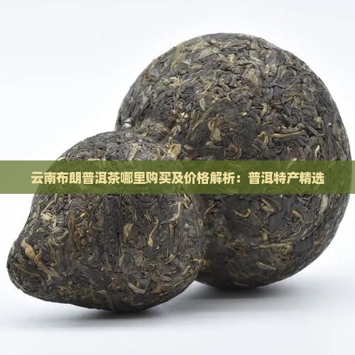 云南布朗普洱茶哪里购买及价格解析：普洱特产精选