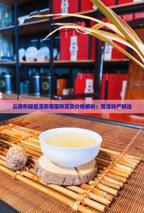 云南布朗普洱茶哪里购买及价格解析：普洱特产精选