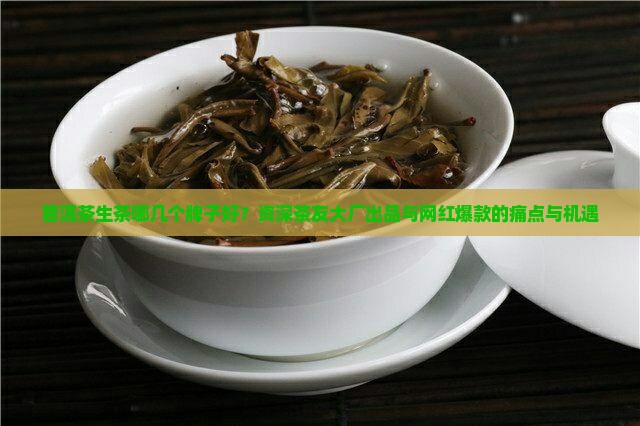 普洱茶生茶哪几个牌子好？资深茶友大厂出品与网红爆款的痛点与机遇