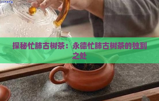 探秘忙肺古树茶：永德忙肺古树茶的独到之处