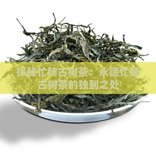 探秘忙肺古树茶：永德忙肺古树茶的独到之处