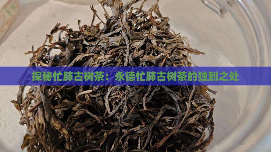 探秘忙肺古树茶：永德忙肺古树茶的独到之处