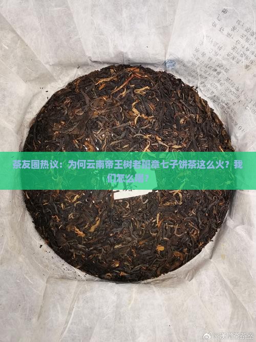 茶友圈热议：为何云南帝王树老班章七子饼茶这么火？我们怎么喝？