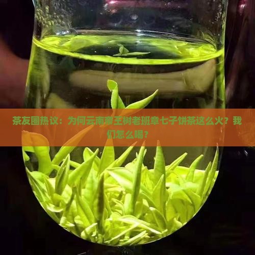茶友圈热议：为何云南帝王树老班章七子饼茶这么火？我们怎么喝？
