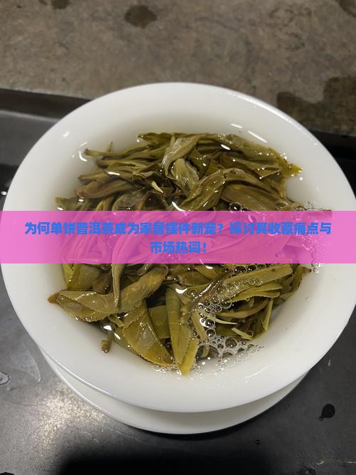 为何单饼普洱茶成为家居摆件新宠？探讨其收藏痛点与市场热词！