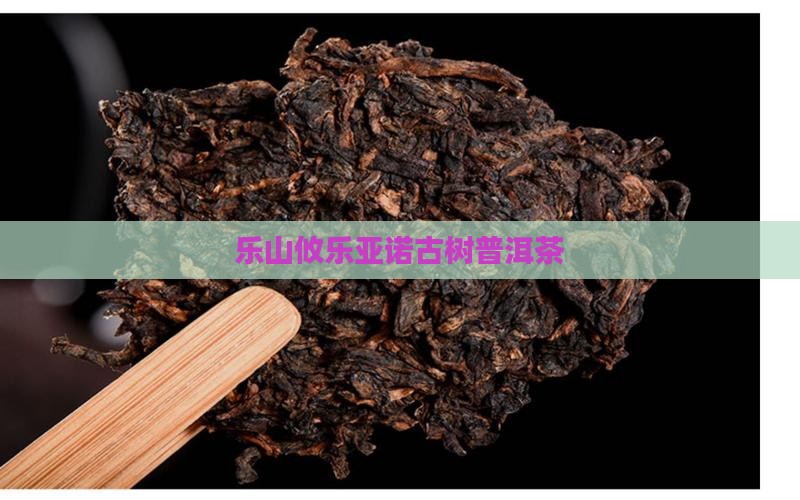 乐山攸乐亚诺古树普洱茶