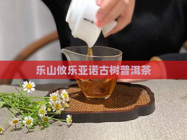 乐山攸乐亚诺古树普洱茶