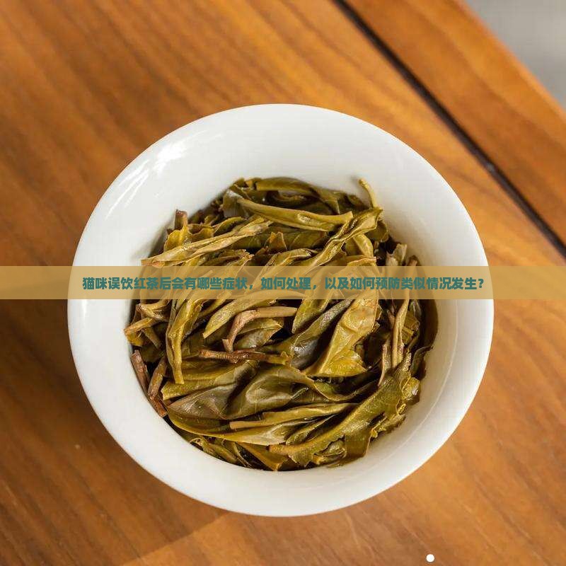 猫咪误饮红茶后会有哪些症状，如何处理，以及如何预防类似情况发生？