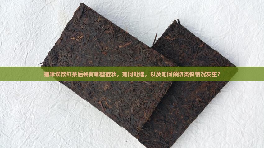 猫咪误饮红茶后会有哪些症状，如何处理，以及如何预防类似情况发生？