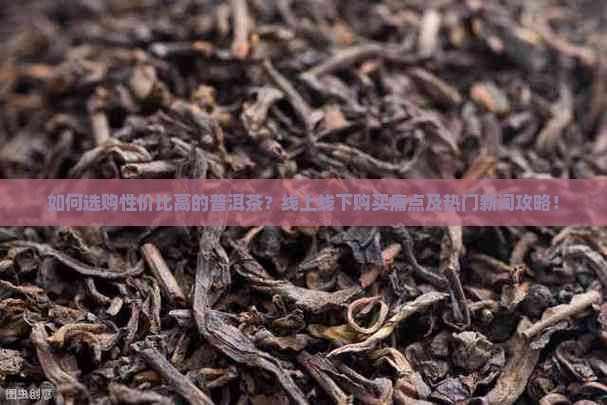 如何选购性价比高的普洱茶？线上线下购买痛点及热门新词攻略！