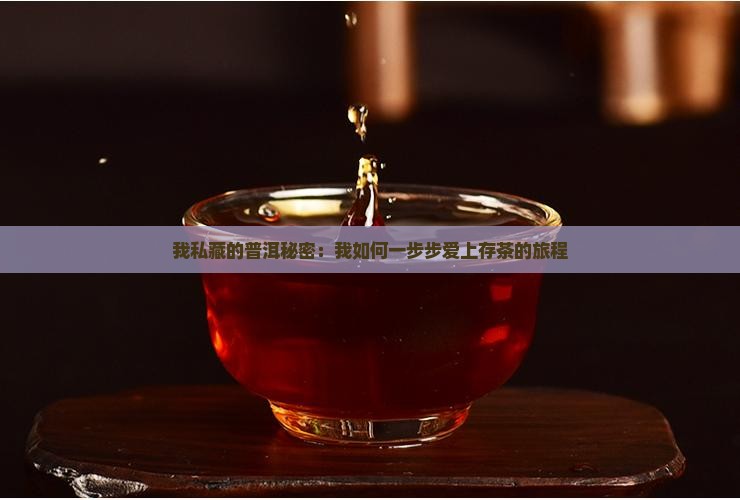 我私藏的普洱秘密：我如何一步步爱上存茶的旅程