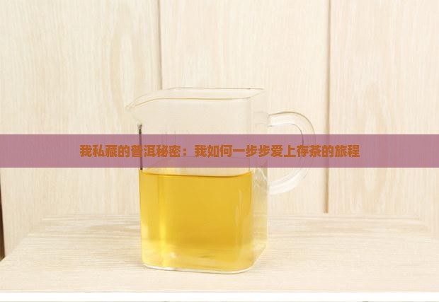 我私藏的普洱秘密：我如何一步步爱上存茶的旅程