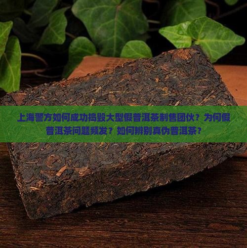 上海警方如何成功捣毁大型假普洱茶制售团伙？为何假普洱茶问题频发？如何辨别真伪普洱茶？