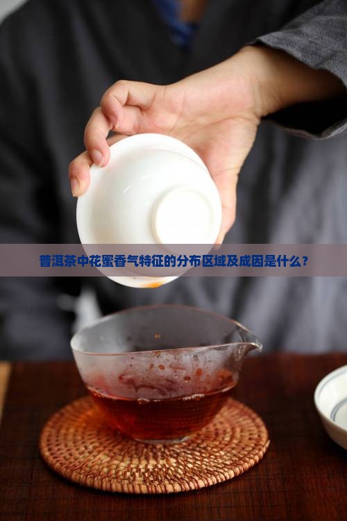 普洱茶中花蜜香气特征的分布区域及成因是什么？