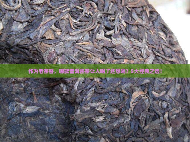 作为老茶客，哪款普洱熟茶让人喝了还想喝？5大经典之选！