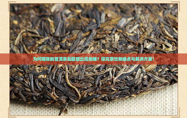 为何喝陈韵普洱茶后腿部出现胀痛？探究茶饮新痛点与解决方案！