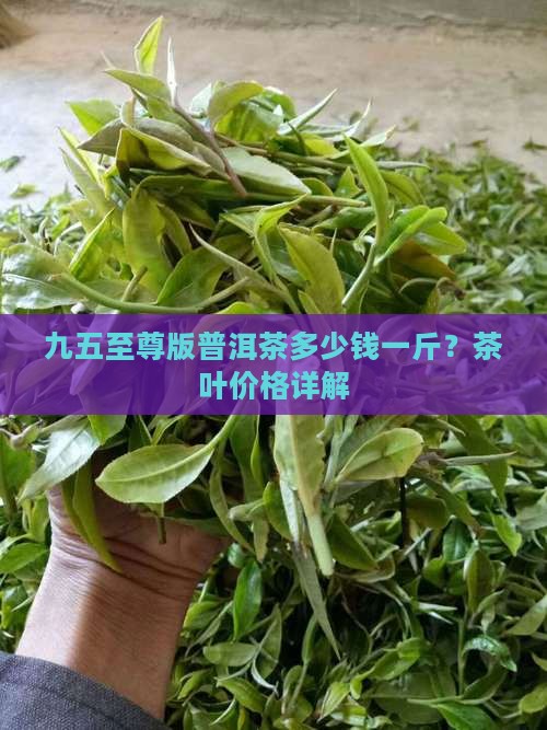 九五至尊版普洱茶多少钱一斤？茶叶价格详解