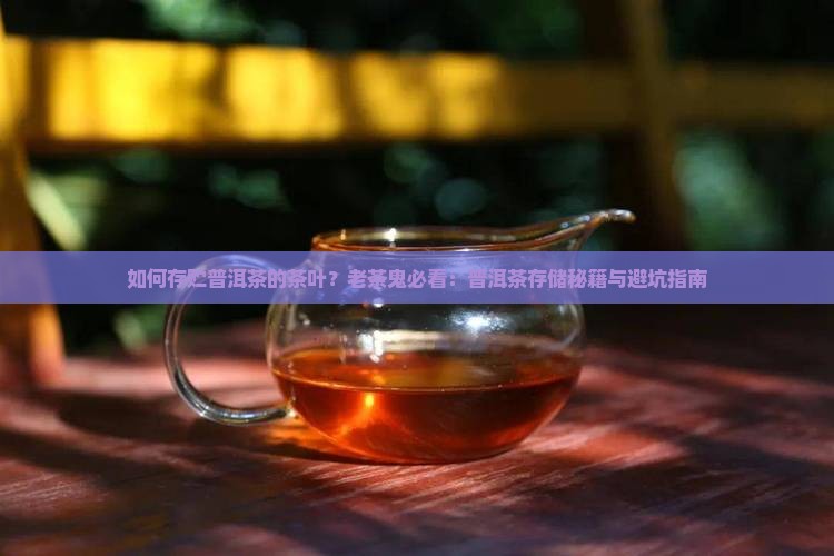 如何存贮普洱茶的茶叶？老茶鬼必看：普洱茶存储秘籍与避坑指南