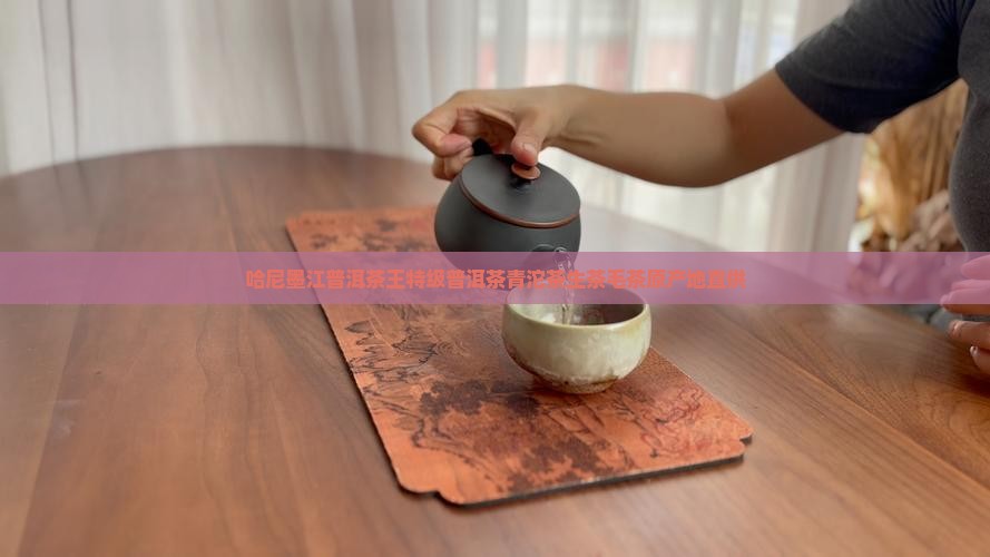 哈尼墨江普洱茶王特级普洱茶青沱茶生茶毛茶原产地直供