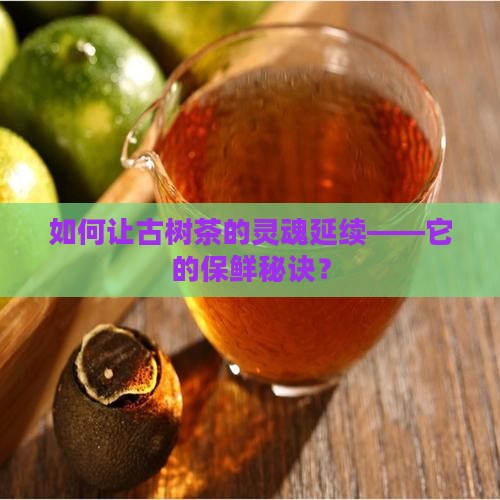 如何让古树茶的灵魂延续——它的保鲜秘诀？